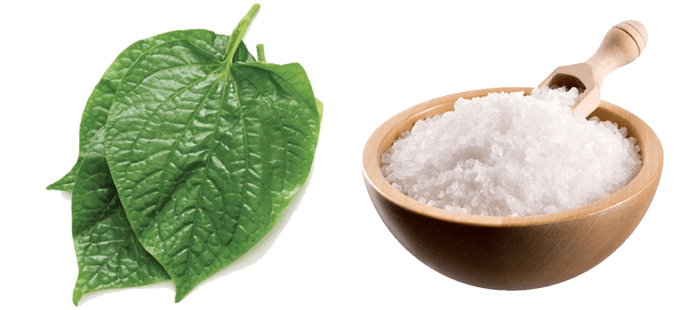 Cách ngâm chân lá lốt hiệu quả tại nhà