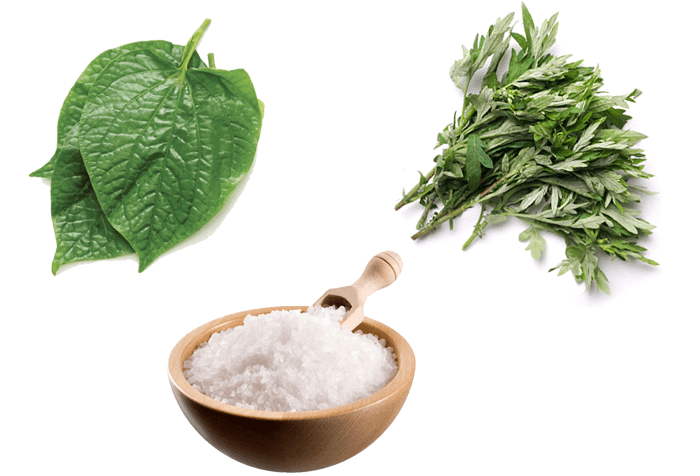 Cách ngâm chân lá lốt hiệu quả tại nhà