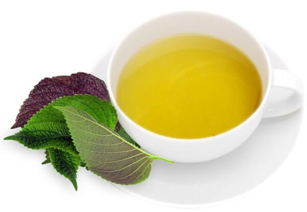 Tác dụng của lá tía tô Tác dụng của lá tía tô