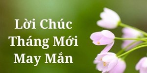 Lời chúc mùng 1 đầu tháng may mắn, hay, ý nghĩa