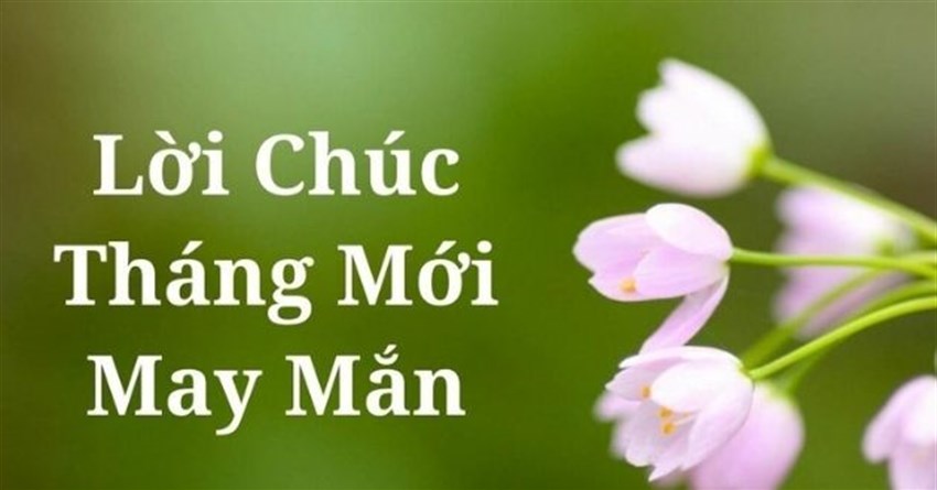 Lời chúc mùng 1 đầu tháng may mắn, hay, ý nghĩa