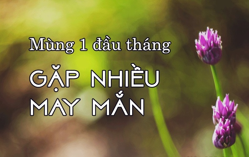 Những câu chúc mùng một đầu tháng hài hước Những câu chúc mùng một đầu tháng hài hước