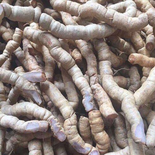 Ba kích khô Ba kích khô