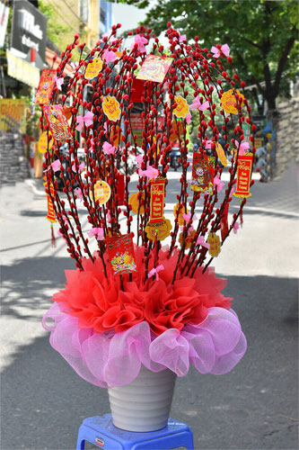 Cắm hoa nụ tầm xuân