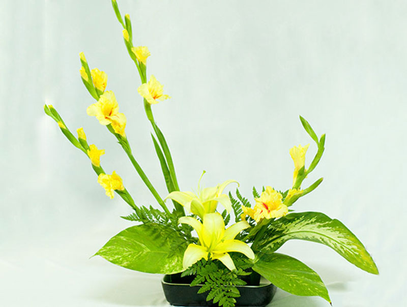 Cách cắm hoa ly đẹp ngày Tết Cách cắm hoa ly đẹp ngày Tết