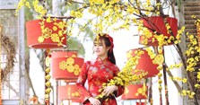 Lời bài hát Xuân yêu thương, remix, karaoke, nhạc MP3