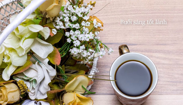 Lời chúc ngày mới hài hước Lời chúc ngày mới hay