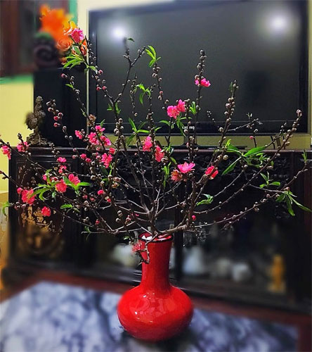 Hoa đào Hoa đào là loại hoa cắm Tết được nhiều người yêu thích