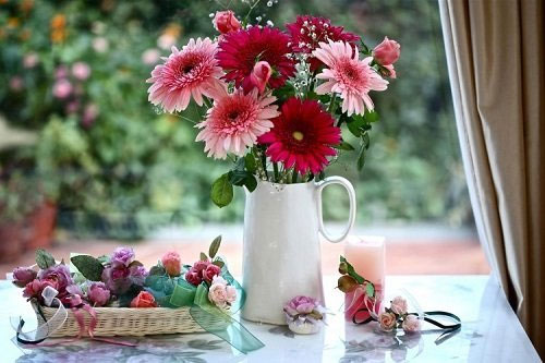 Cách cắm hoa đồng tiền ngày Tết Cách cắm hoa đồng tiền ngày Tết