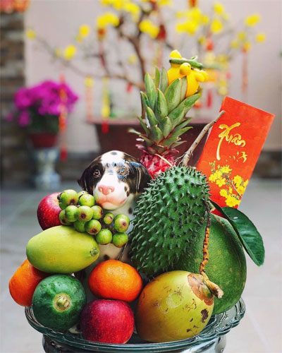 Cách bày mâm ngũ quả ngày Tết miền Trung