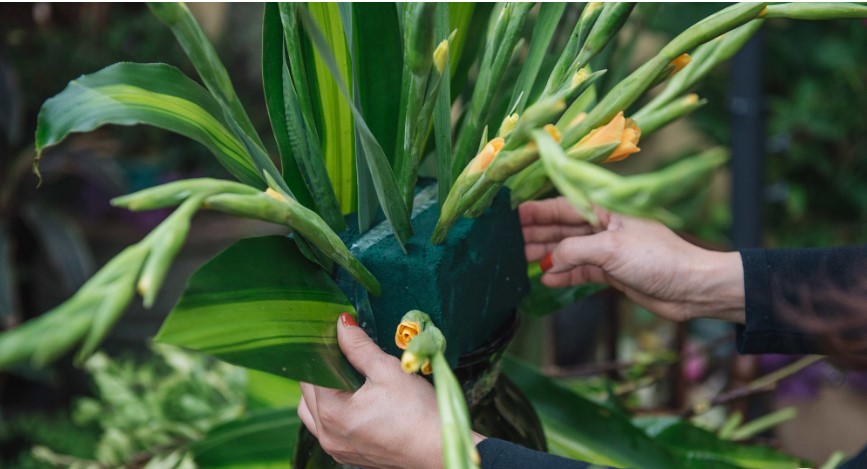 Cách cắm hoa lay ơn bàn thờ Cách cắm hoa lay ơn bàn thờ