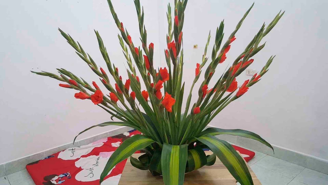 Cắm hoa dơn ngày Tết Cắm hoa dơn ngày Tết