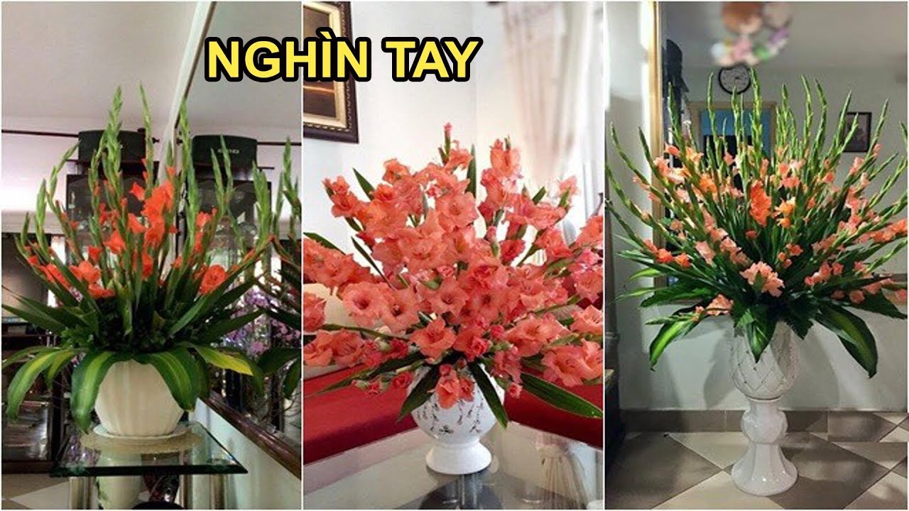 Bình hao dơn đẹp Bình hao dơn đẹp