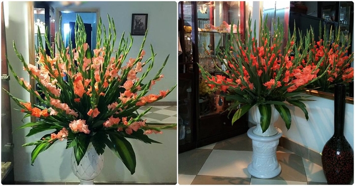 Một số mẫu cắm hoa lay ơn dịp Tết Một số mẫu cắm hoa lay ơn dịp Tết