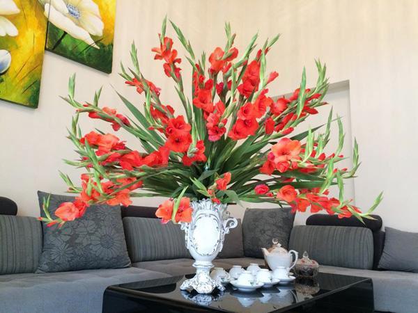 Bình hoa lay ơn đẹp ngày Tết Bình hoa lay ơn đẹp ngày Tết