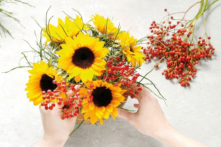 Cách cắm hoa hướng dương ngày Tết Cách cắm hoa hướng dương ngày Tết