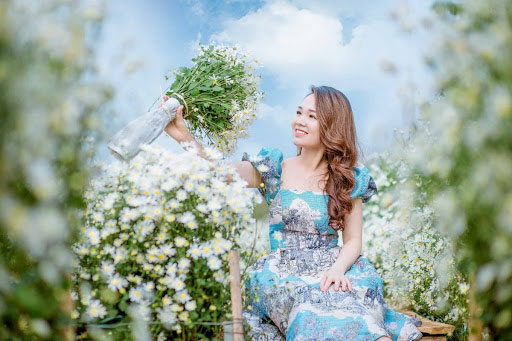 Thơ về cúc họa mi Thơ về cúc họa mi