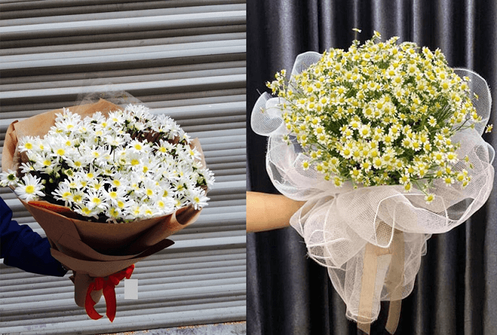 Một số mẫu bó hoa cúc họa mi đẹp Một số mẫu bó hoa cúc họa mi đẹp
