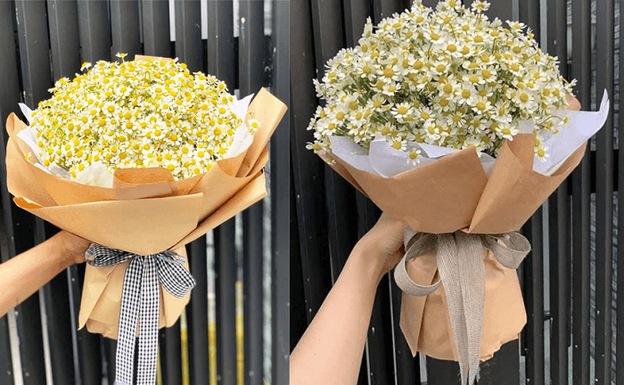 Một số mẫu bó hoa cúc họa mi đẹp Một số mẫu bó hoa cúc họa mi đẹp