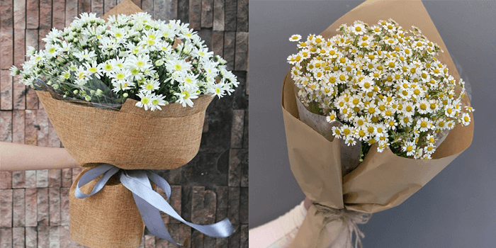 Một số mẫu bó hoa cúc họa mi đẹp Một số mẫu bó hoa cúc họa mi đẹp