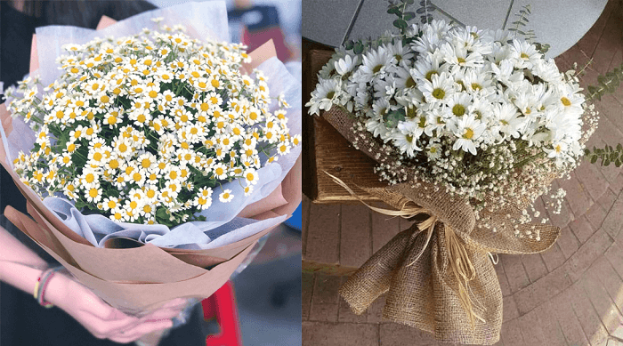 Một số mẫu bó hoa cúc họa mi đẹp Một số mẫu bó hoa cúc họa mi đẹp