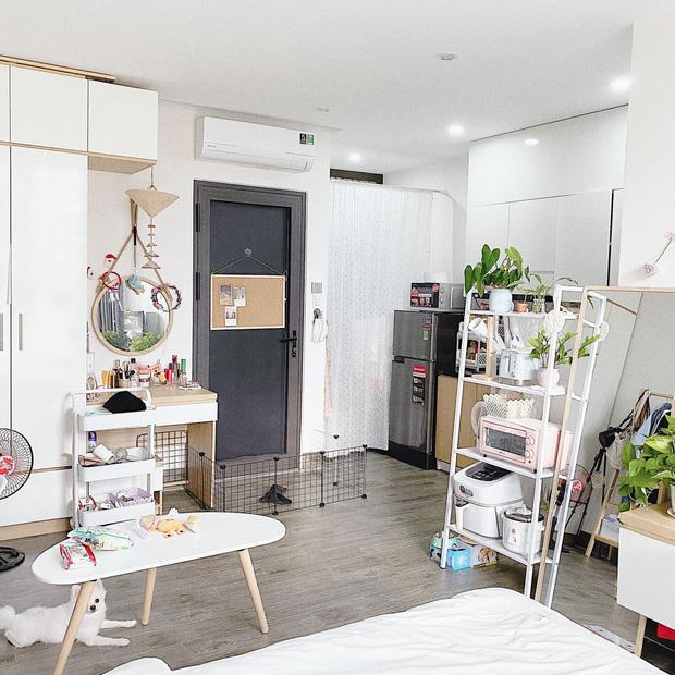 Decor phòng trọ đẹp mắt Decor phòng trọ đẹp mắt