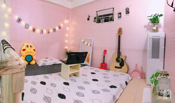 Mẫu decor phòng trọ màu hồng Mẫu decor phòng trọ màu hồng