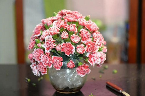 Cách cắm hoa cẩm chướng ngày Tết Cách cắm hoa cẩm chướng ngày Tết