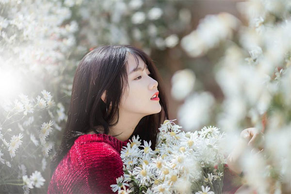 Thơ hay về cúc họa mi Thơ hay về cúc họa mi