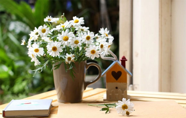 Thơ về hoa cúc họa mi Thơ về hoa cúc họa mi