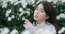 Thơ về cúc họa mi hay cho những ngày đầu đông thêm lãng mạn