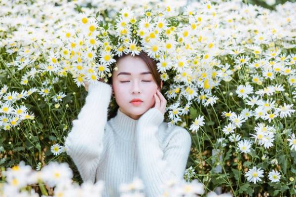 Chụp chúc họa mi ở cánh đồng hoa Quảng An Chụp chúc họa mi ở cánh đồng hoa Quảng An