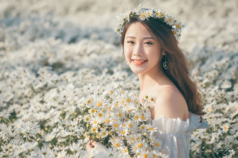 Làng hoa Tây Tựu là địa điểm chụp cúc họa mi cho những người không thích đông đúca Làng hoa Tây Tựu là địa điểm chụp cúc họa mi cho những người không thích đông đúca