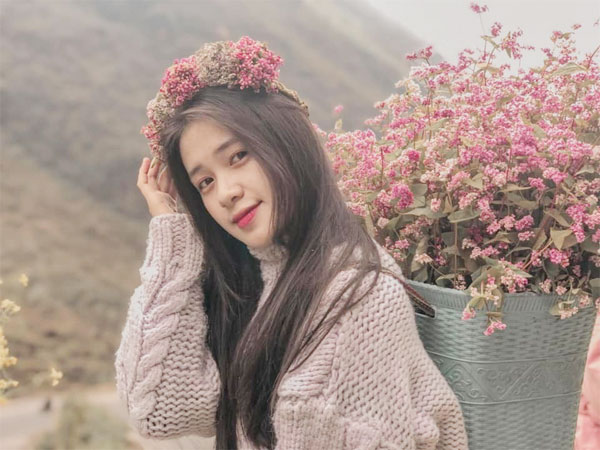 Hoa tam giác mạch Hoa tam giác mạch