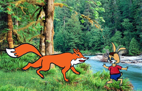 Câu chuyện chú Thỏ thông minh