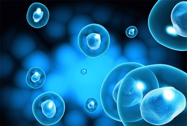 Niacinamide là chất gì Niacinamide là chất gì