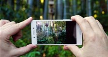 Cách chỉnh ảnh đơn giản, đẹp lung linh trên Instagram để đăng story