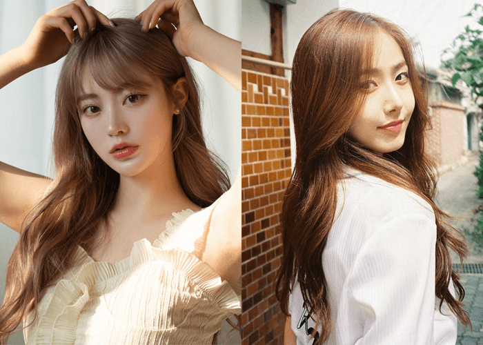 Màu nhuộm tóc trà mật ong Màu nhuộm tóc trà mật ong