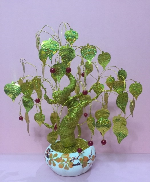 Thành phẩm cây kim tiền vàng Thành phẩm cây kim tiền vàng