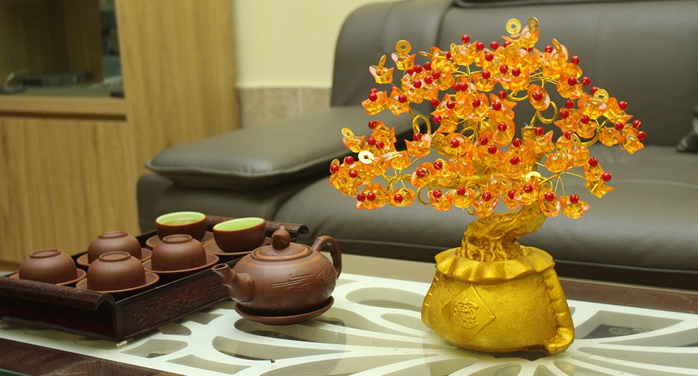 Cách làm cây kim tiền vàng đón tài lộc, giàu sang phú quý, may mắn vào nhà