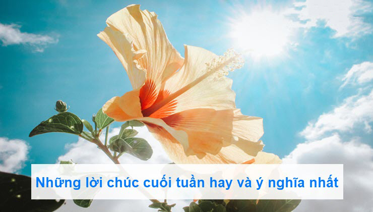 Lời chúc cuối tuần hay
