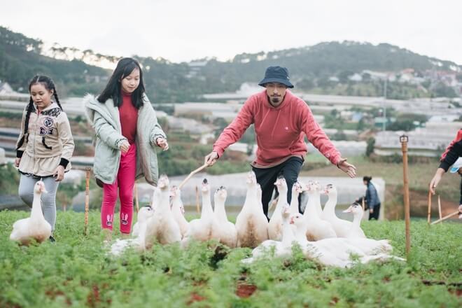 Đen Vâu về quê chăn vịt