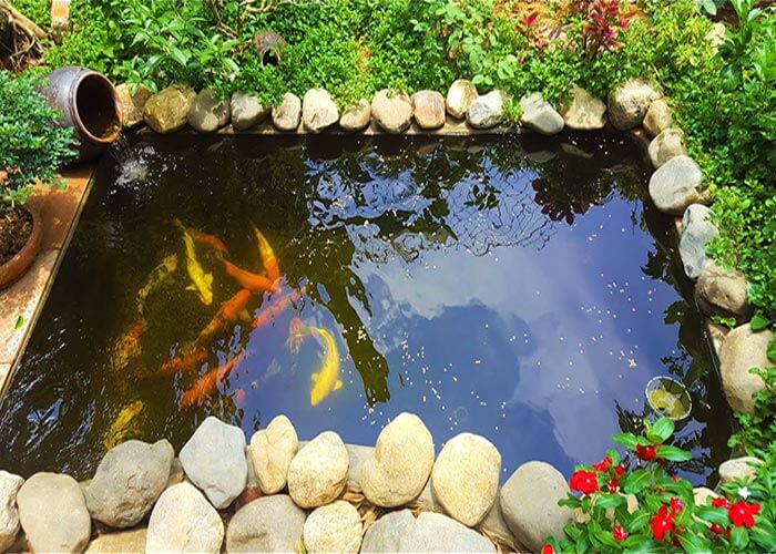 Mẫu thiết kế hồ cá koi mini ngoài trời đẹp