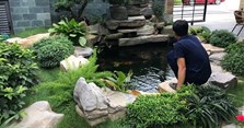 20 mẫu hồ cá koi mini, thiết kế hồ cá koi đẹp trong nhà & ngoài trời trang trí sân vườn