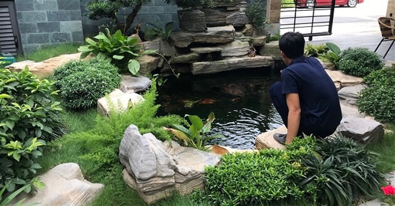 20 mẫu hồ cá koi mini, thiết kế hồ cá koi đẹp trong nhà & ngoài trời trang trí sân vườn