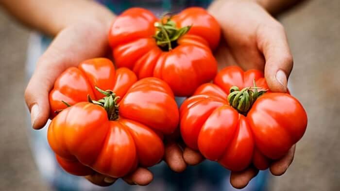 Thực phẩm organic có hương vị thơm ngon Thực phẩm organic có hương vị thơm ngon