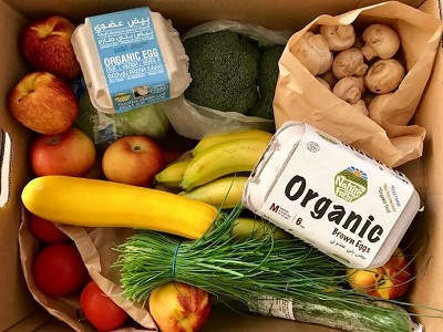 Organic là gì? Thực phẩm hữu cơ là gì?