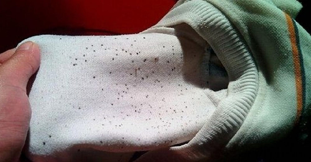 Hướng dẫn cách tẩy mốc trên quần áo hiệu quả