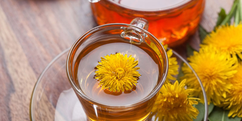 Trà hoa bồ công anh Trà hoa bồ công anh