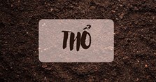 Mệnh Thổ hợp màu gì, kỵ màu gì? Màu hợp mệnh Thổ theo phong thủy